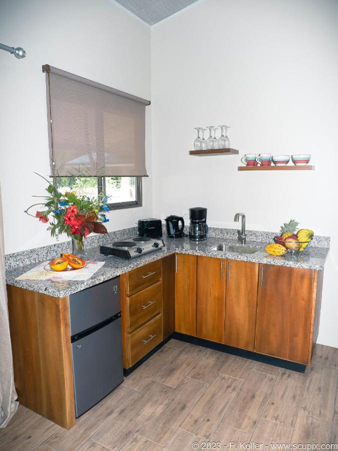 Luxury Apartments Nauyaca By Paradiselodge Platanillo Exterior foto
